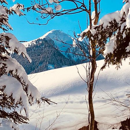 Appartements Living Saalbach Екстериор снимка
