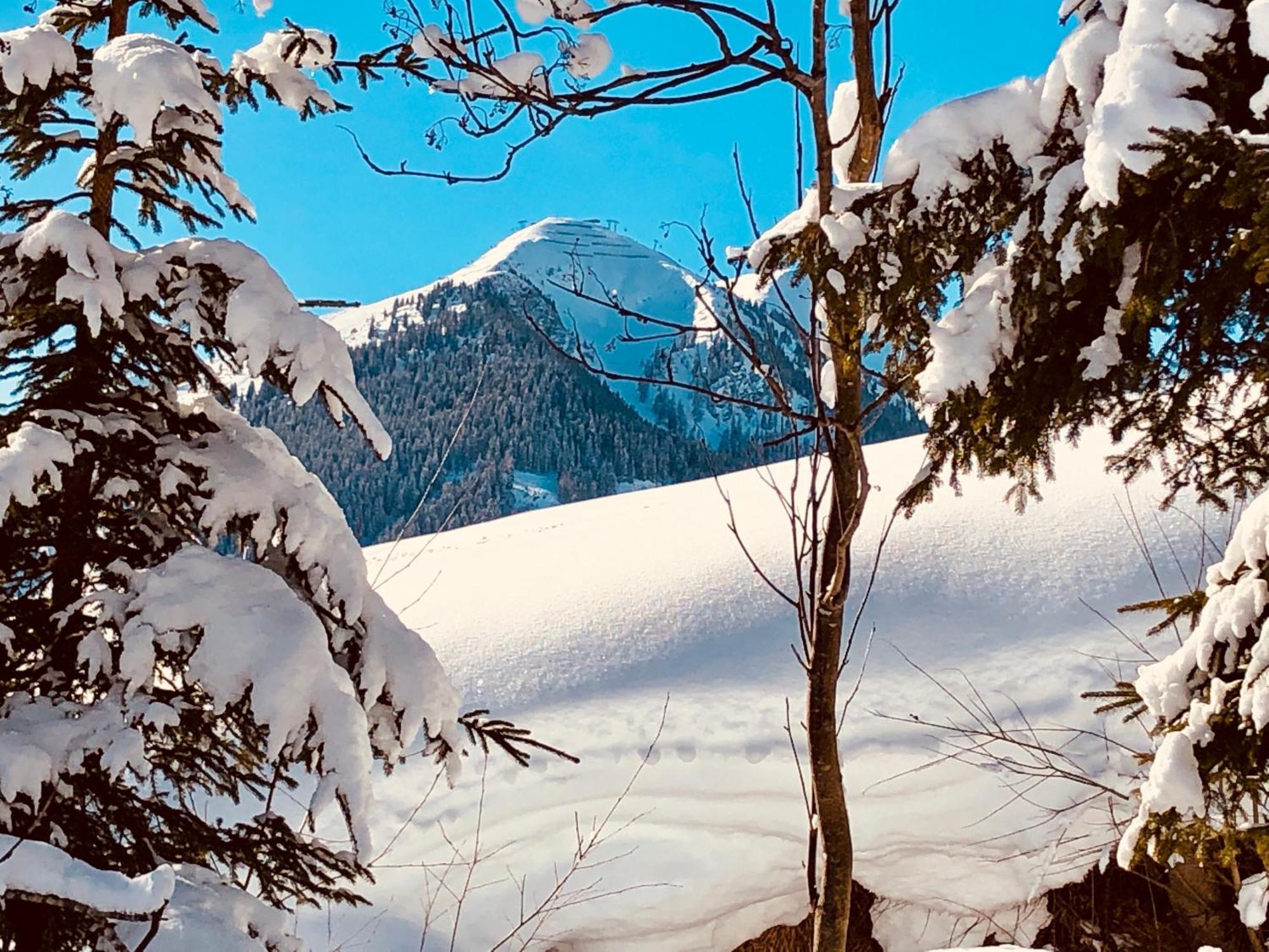 Appartements Living Saalbach Екстериор снимка
